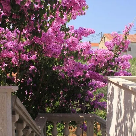 Apartments By The Sea Ugljan - 8301 Apartment